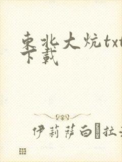 东北大炕txt下载
