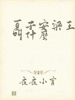 夏子安梁王书名叫什么
