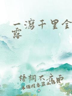 一泻千里金银花露