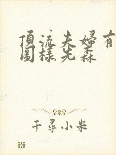 顶流夫妇有点甜图样先森