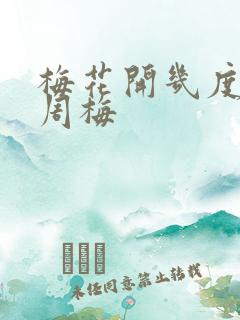 梅花开几度老张周梅