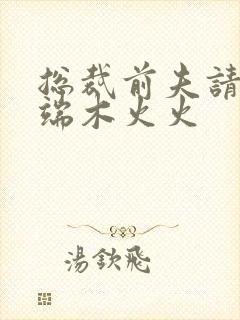 总裁前夫请自重端木火火