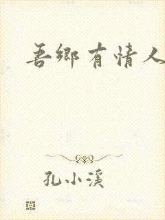 吾乡有情人小说