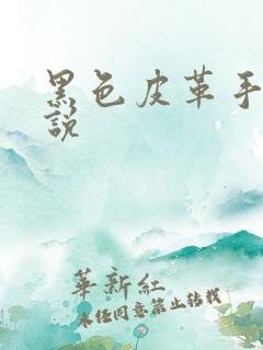 黑色皮革手册小说