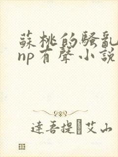 苏桃的骚乱文肉np有声小说