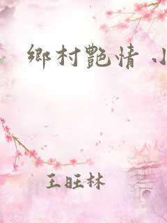 乡村艳情 小说
