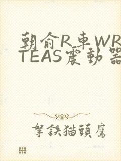 朝俞R车WRITEAS震动器