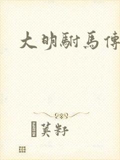 大明驸马传