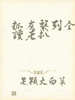 抓灰系列全文阅读老扒