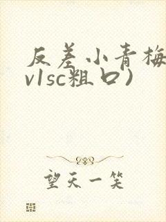 反差小青梅(1v1sc粗口)