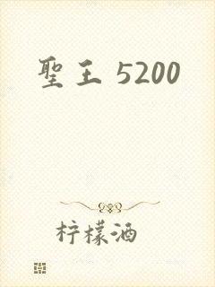 圣王 5200