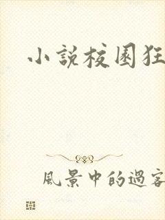 小说校园狂少