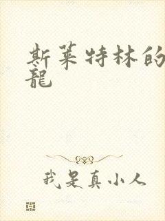 斯莱特林的铂金龙