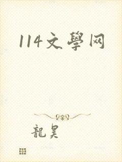 114文学网