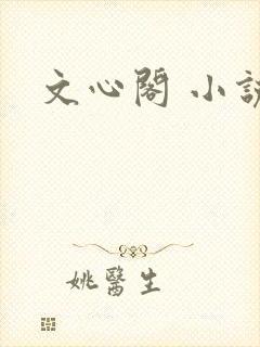 文心阁 小说