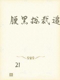 腹黑总裁追娇妻