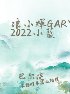 浪小辉GARY2022小蓝