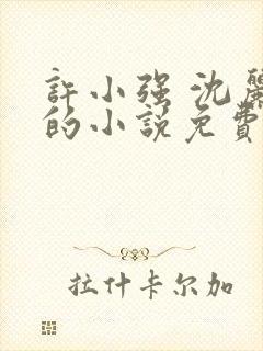 许小强 沈丽娟的小说免费阅读