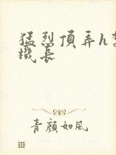 猛烈顶弄h禁欲机长