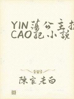 YIN荡公主挨CAO记小说