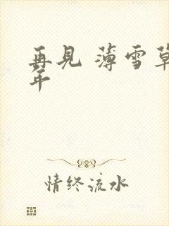 再见 薄雪草少年