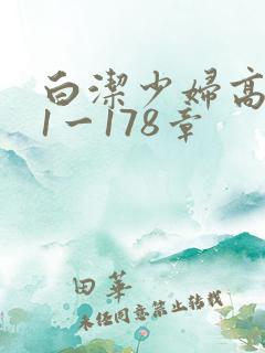 白洁少妇高义第1一178章