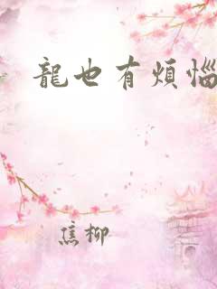 龙也有烦恼小说