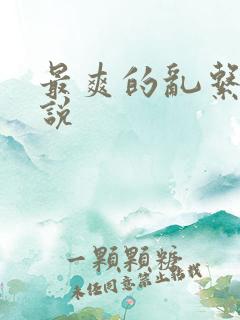 最爽的乱系列小说