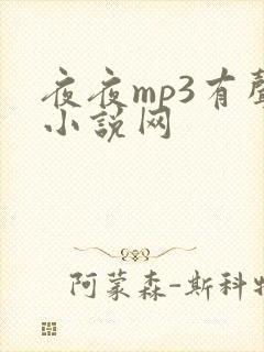 夜夜mp3有声小说网