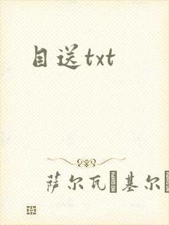 目送txt