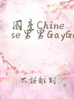 国产Chinese男男GayGayAPP