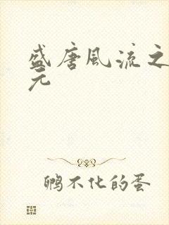 盛唐风流之武状元