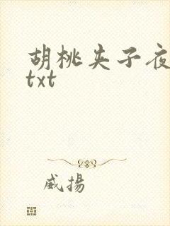 胡桃夹子夜未眠txt