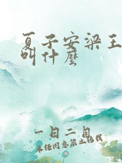 夏子安梁王书名叫什么