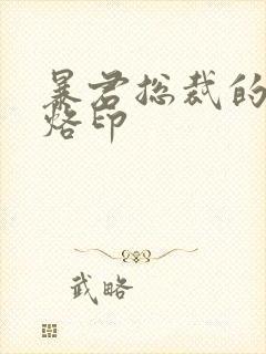 暴君总裁的狂烈烙印