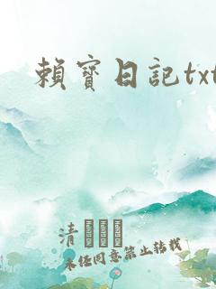 赖宝日记txt