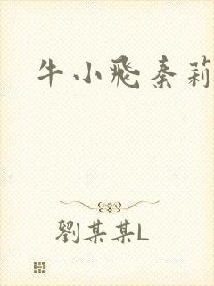 牛小飞秦莉莉