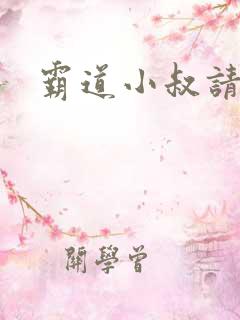 霸道小叔请轻撩