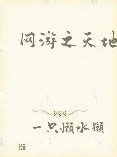 网游之天地下载