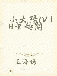 小太阳1V 1H笔趣阁