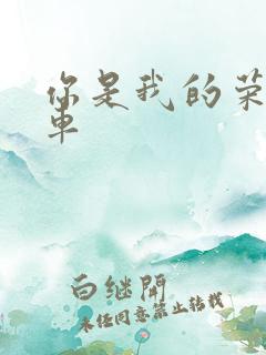 你是我的荣耀肉车