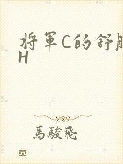 将军C的舒服么H