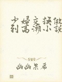 少妇交换做爰做到高潮小说