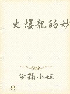 火爆龙的妙管家