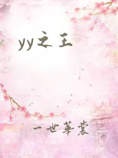 yy之王