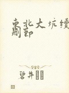 东北大坑续集未删节