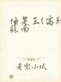 他是王(高干)苏南