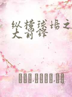 纵横球场之暴力大前锋