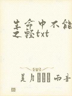 生命中不能承受之轻txt