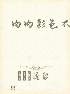 肉肉彩色不遮挡